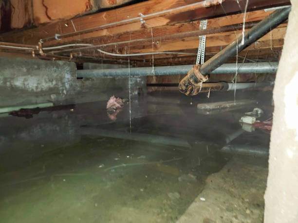 Best Ceiling water damage repair  in Twin Rivers, NJ