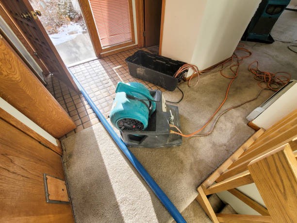 Best Local water damage restoration  in Twin Rivers, NJ