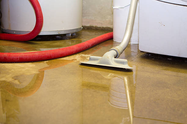 Best Water damage cleanup near me  in Twin Rivers, NJ